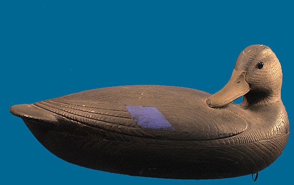 Turned head McNair Black Duck