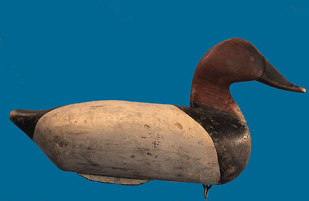 Rare James Baines Canvasback Drake