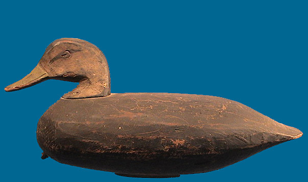 Nice Doug Jester Black Duck