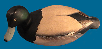 Ward Bro, Bluebill drake