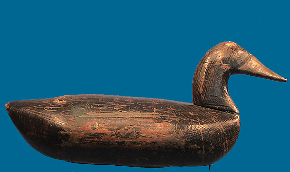 Lum Fletcher Black Duck