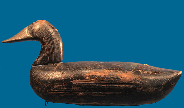 Lum Fletcher Black Duck