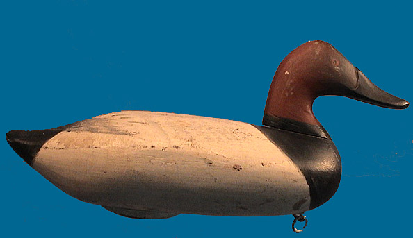 James Currier drake Canvasback