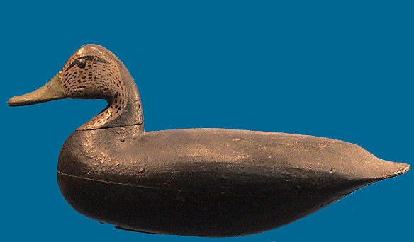 Charlie Birch Black Duck