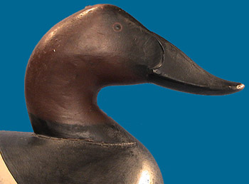 Early "Roman Nose" drake Canvasback by Charlie Joiner, s&d 1950