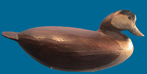 Early Mark McNair Ruddy Duck