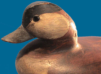 Early Mark McNair Ruddy Duck