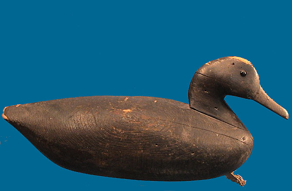 Alma Fitchett Black Duck, one of 3 known