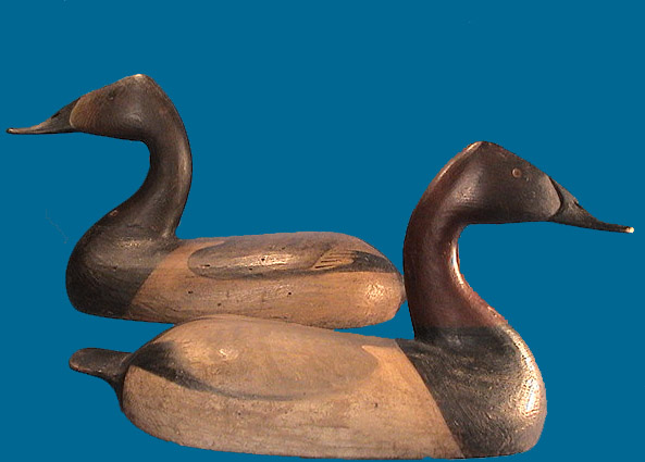 Cameron McIntyre high-head Canvasback pair, these are a killer!