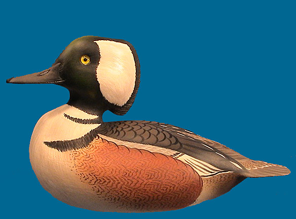 Danny Marshall Hooded Merganser