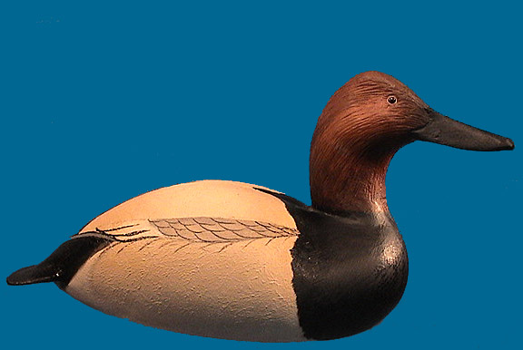Very early Danny Marshall drake Canvasback