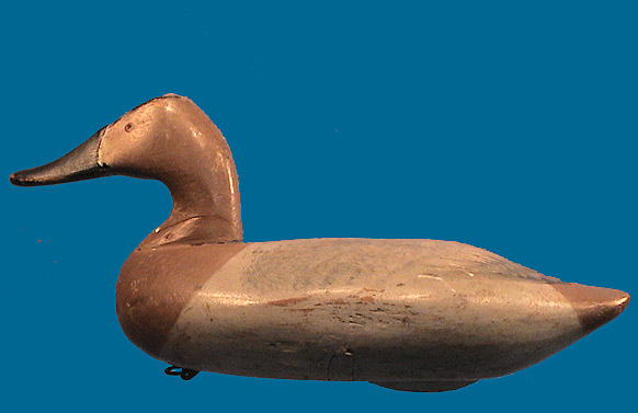 Jim Currier hen Canvasback decoy