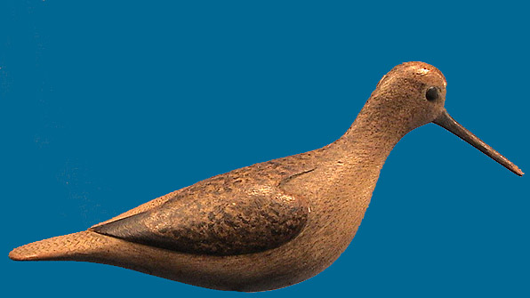 McNair Yellowlegs