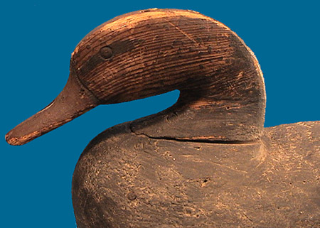 ES Black Duck