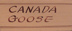 Chesser Goose museum tag