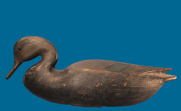 Cameron McIntyre Black Duck