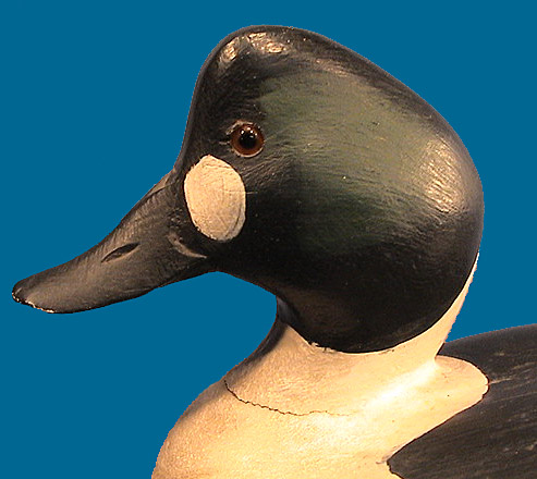 Steve Ward Goldeneye drake