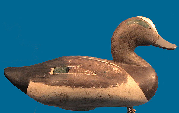 Nice Paul Gibson drake Widgeon decoy