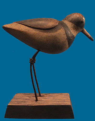 McNair Semipalmated Plover