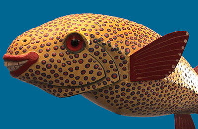 Ryan D. Blow Toad