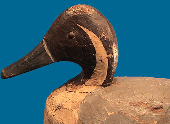 Miles Hancock Pintail