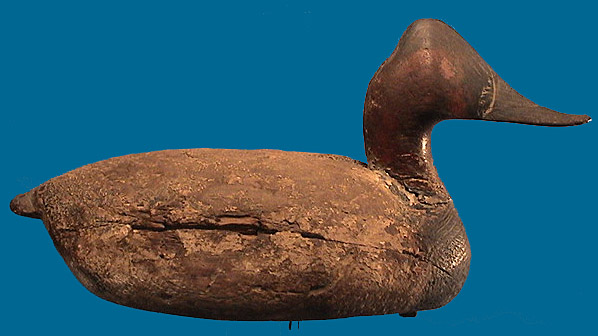 1928 knot head Canvasback decoy by the Ward Brothers