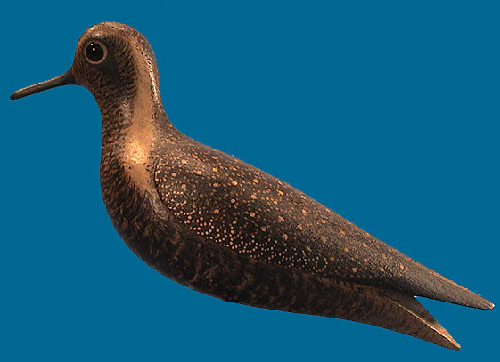 Mark McNair Golden Plover