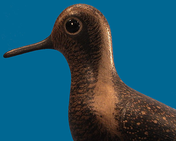 Mark McNair Golden Plover