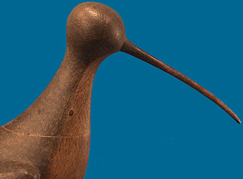 Mark McNair Curlew