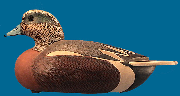 Art Kilmon drake Widgeon