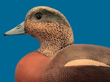 Art Kilmon drake Widgeon