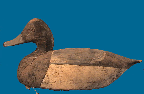 Miles Hancock Bluebill