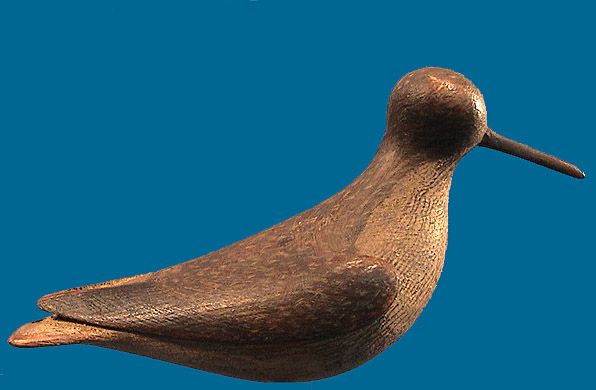 Rare McNair Spotted Sandpiper