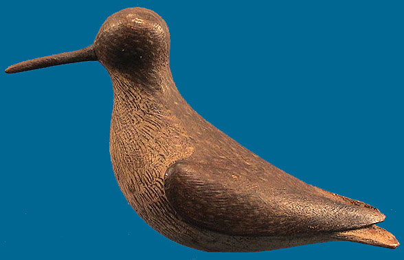 Rare McNair Spotted Sandpiper