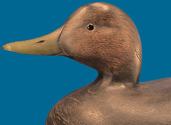 Roger Mitchell Black Duck, Crowell style