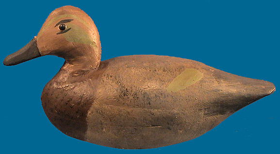 Rare Greenwing Teal by Miles Hancock