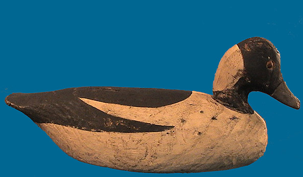 Early Miles Hancock Bufflehead