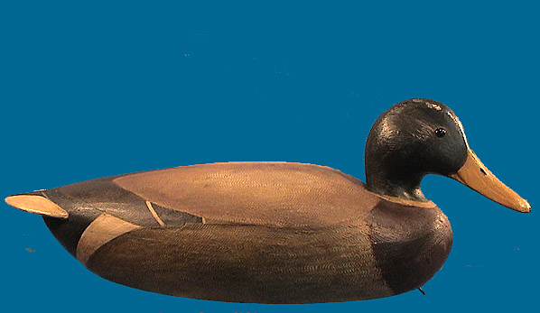 Ian McNair Mallard