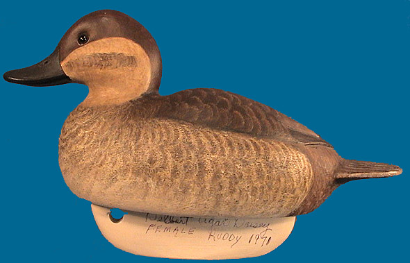 Early Cigar Daisey Hen Ruddy Duck