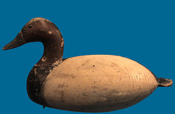 Ira Hudson drake Canvasback