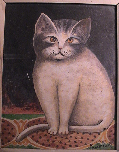 Snowball the Cat