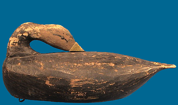 Rare sleeper Miles Hancock Black Duck 