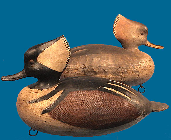 Mark Daisey Hooded Merganser pair