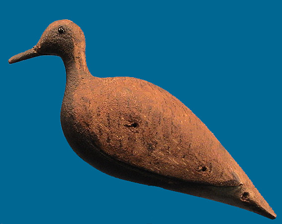 Early Mass Golden Plover