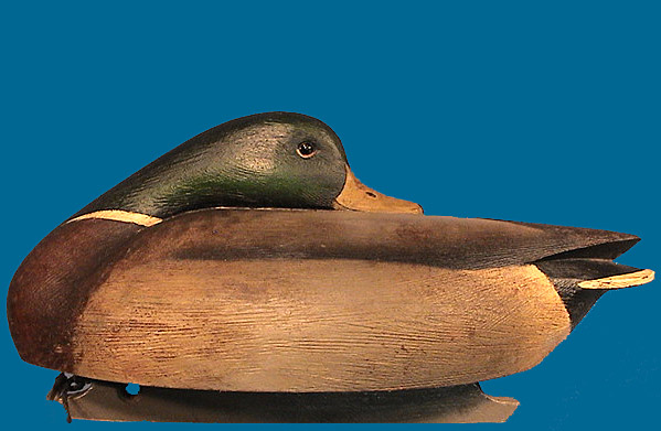 Marty Hanson preener Mallard