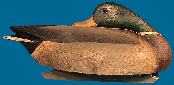 Marty Hanson sleeper drake Mallard