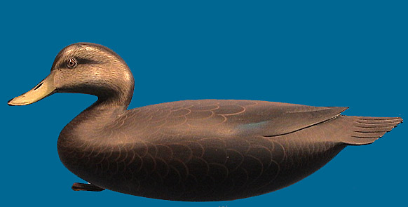 Strunk/Goebel Black Duck