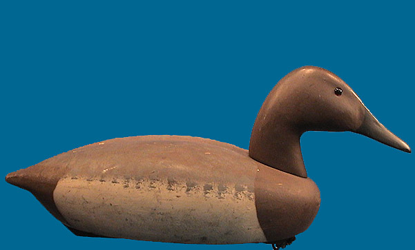 Decoys Unlimited hen Canvasback