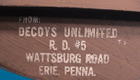 DU hen Canvasback bottom