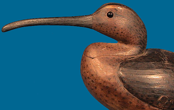 McNair Curlew